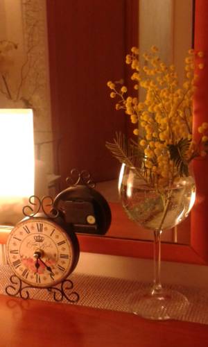 Roma Italy Hotels
