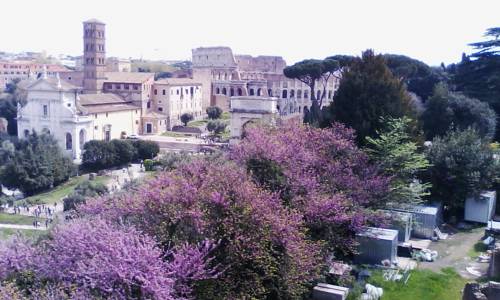Rome Italy Promo Code Booking.com