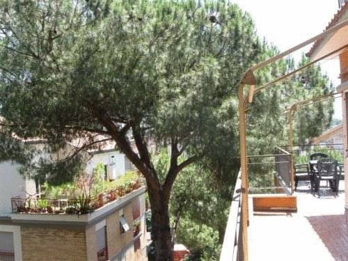 Roma Italy Hotels